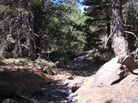 rrente Quarantore-20110911 098